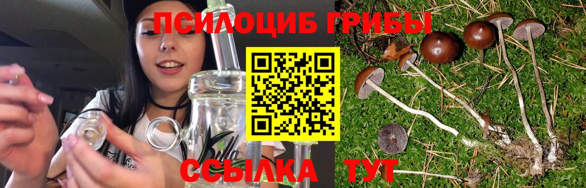 Галлюциногенные грибы GOLDEN TEACHER Знаменск