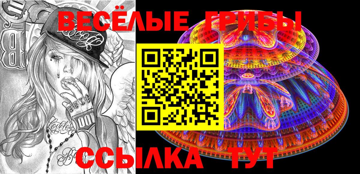 Знаменск  Галлюциногенные грибы GOLDEN TEACHER  Вход с VPN 